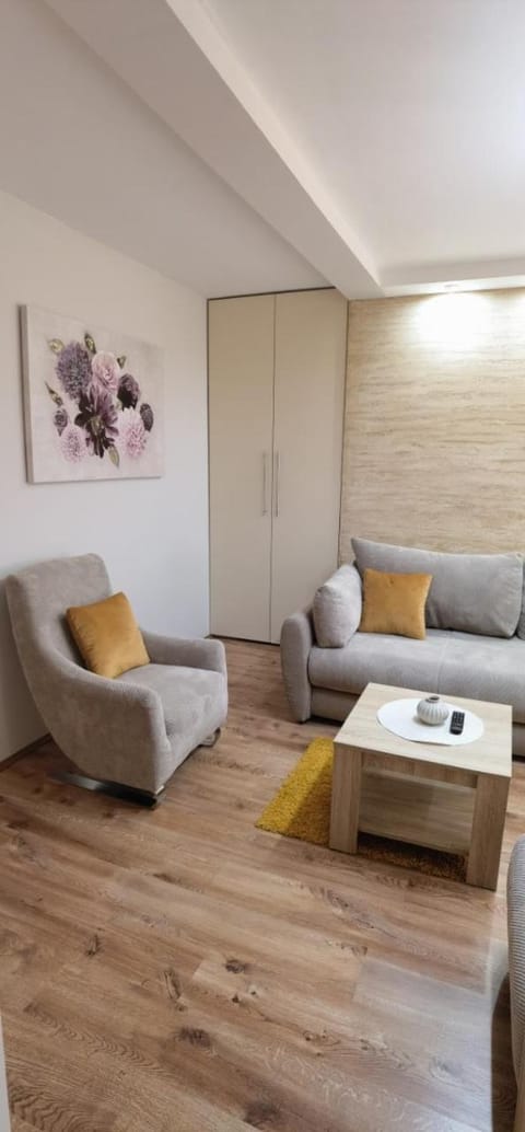 Apartman Narcis Apartment in Serbia