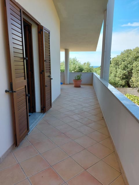 Patio, Balcony/Terrace