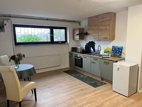 Kitchen or kitchenette, Dining area, dishwasher, oven