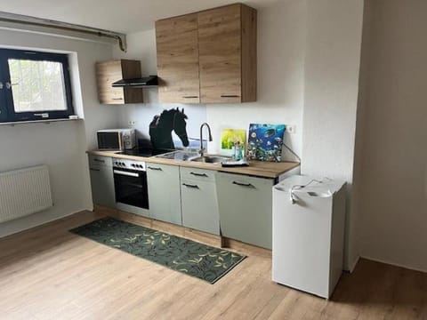 Kitchen or kitchenette, oven