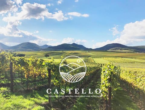 Die Gründerzeitvilla zwischen Weinstrasse und Pfälzer Wald Apartment in Rhineland-Palatinate