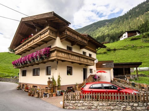 Property building, Summer