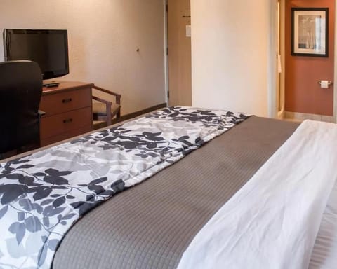 Bed, Bathroom, Bedroom