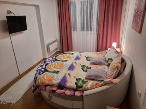 Apartman Rada 2 Apartment in Vojvodina