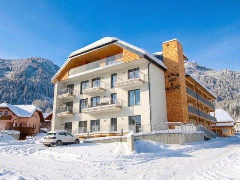 Property building, Winter