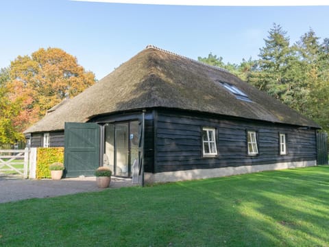Property building, Summer