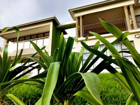 Property building, Garden