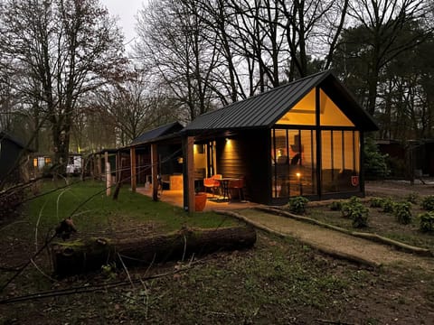 Patio, Night, Garden, Garden view, Location