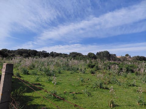 Casa Mene' Apartment in Arzachena
