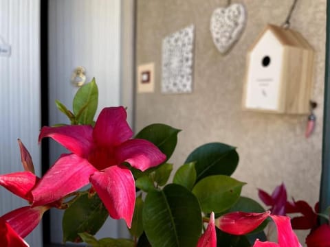 Property logo or sign, Decorative detail