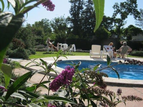Summer, Swimming pool, Swimming pool