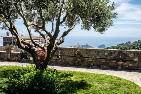 Natural landscape, Garden, Sea view