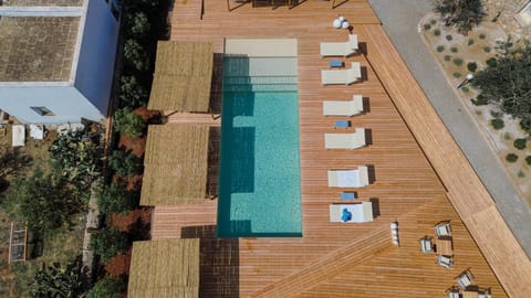 Day, Pool view, Swimming pool, Swimming pool, sunbed