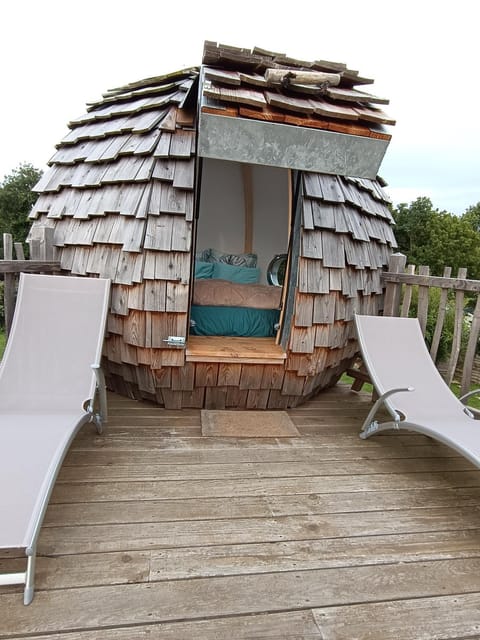 Day, Bird's eye view, Sea view, Breakfast, sunbed