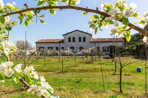 Agriturismo Ca' Baccan Farm Stay in Cavallino-Treporti