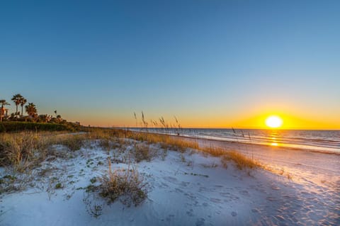 3 Palms Retreat House in Indian Rocks Beach