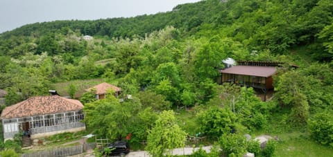 Natural landscape