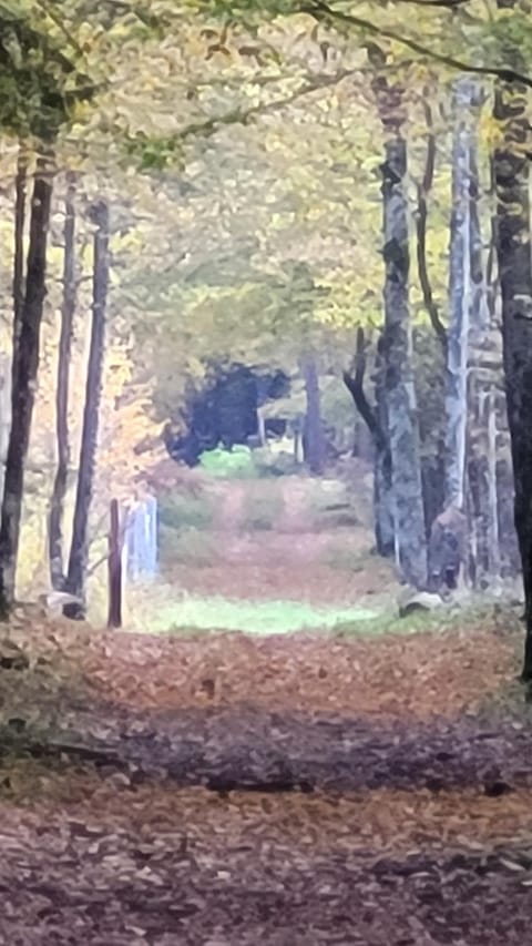 Day, Natural landscape