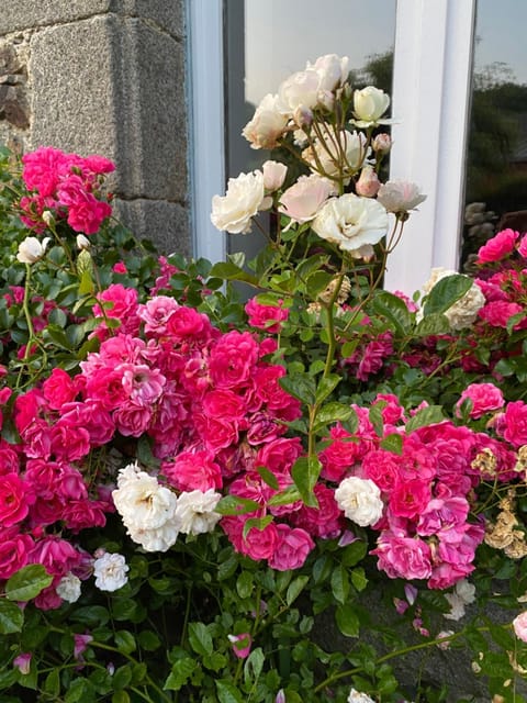 Chambres d hôtes du Moulin à papier Bed and Breakfast in Plérin