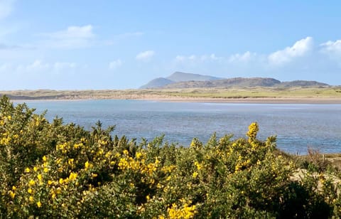 Derrynane Bay House Bed and Breakfast in County Kerry
