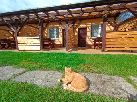 Agroturystyka Alex Campground/
RV Resort in West Pomeranian Voivodeship, Poland