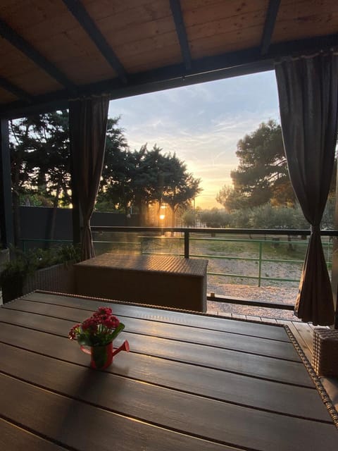 Sunrise, Sunset