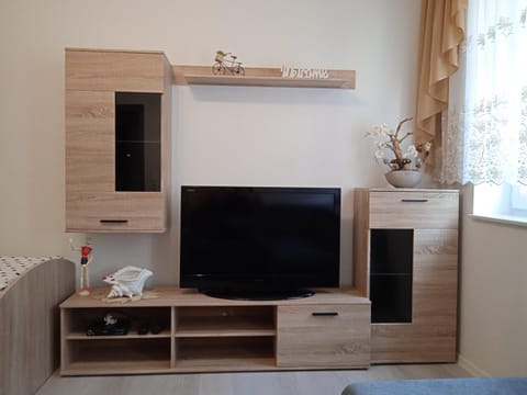 TV and multimedia