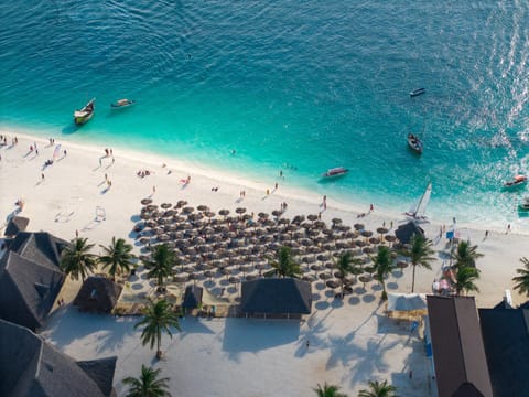 Bird's eye view, Beach, Evening entertainment, Sea view, sunbed