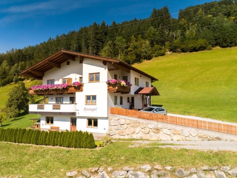 Property building, Summer