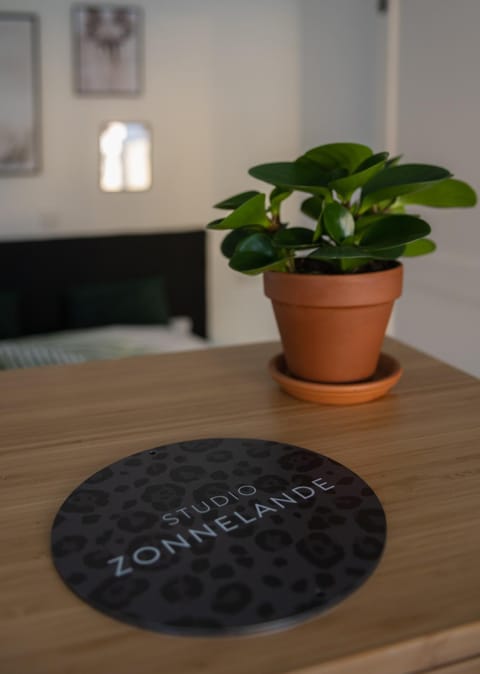 Zonnelande - comfort studio Apartment in Zoutelande