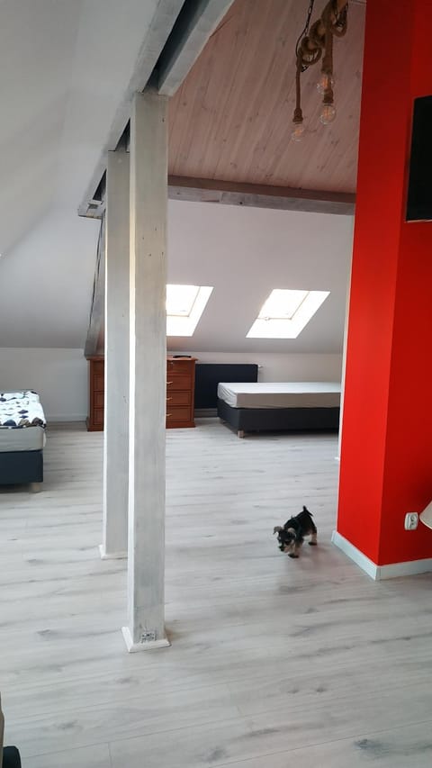 Apartament Witkacego Czerwony Apartment in Pomeranian Voivodeship