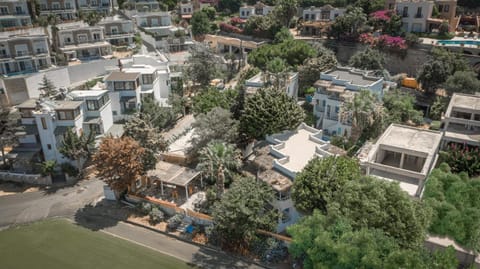 Property building, Bird's eye view