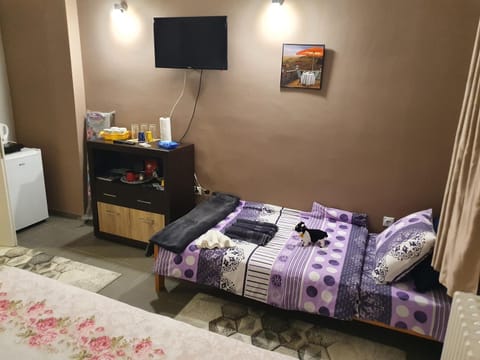 Bed, TV and multimedia, Living room, Bedroom