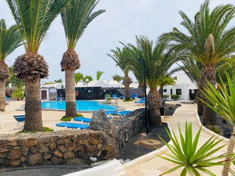 Garden, Swimming pool