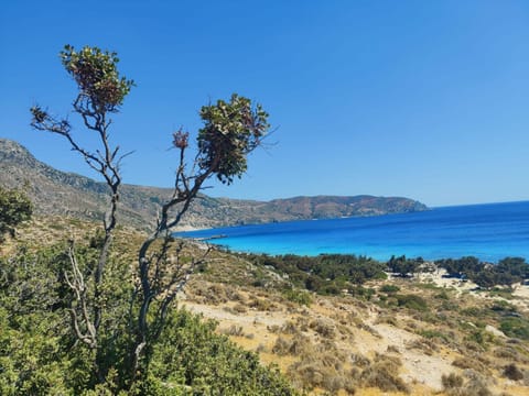 INO III Domus SWIMSPA by Amigdalokefali Elafonissi House in Crete