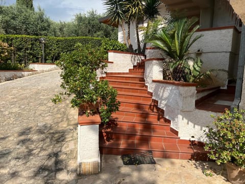 Spring, Day, Garden, Garden view