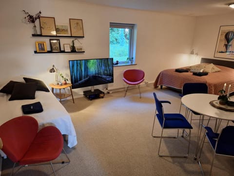 Stort og dejligt værelse med privat bad Vacation rental in Region of Southern Denmark