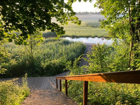 Natural landscape, Activities, Summer, Fishing, Garden, View (from property/room), Balcony/Terrace, Landmark view, River view, Area and facilities, Sunrise