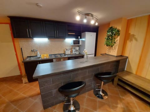 Kitchen or kitchenette, minibar, pet friendly, stove