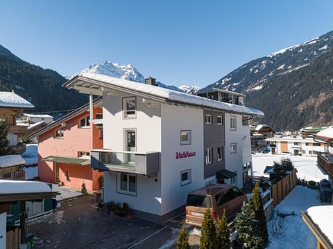 Property building, Winter