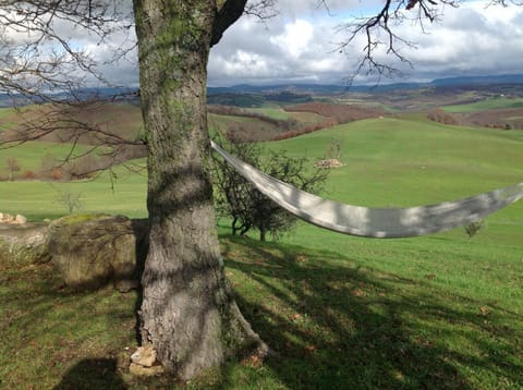 Natural landscape, Garden