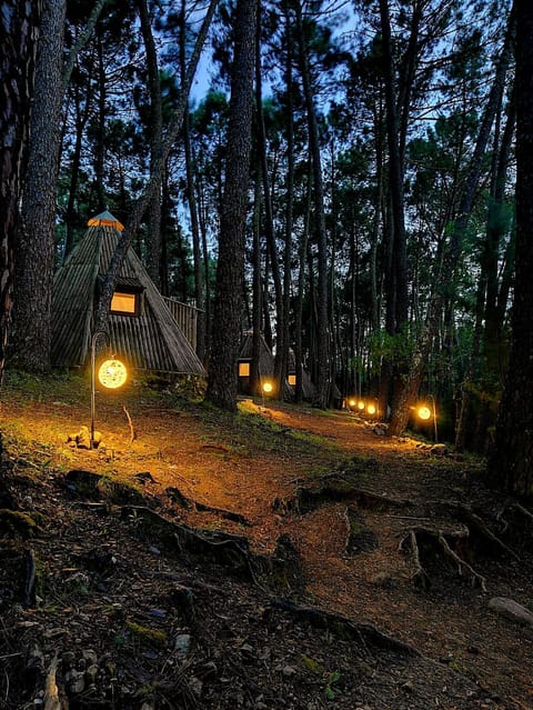 Off site, Night, Sunset