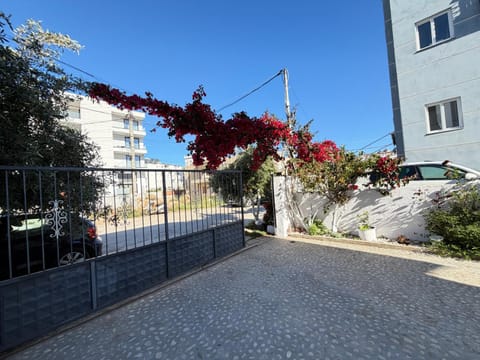 Day, Neighbourhood, Street view