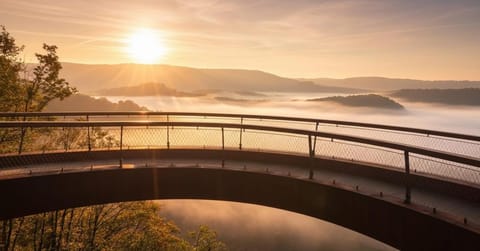 La méjounète de Lucie Apartment in Wallonia, Belgium
