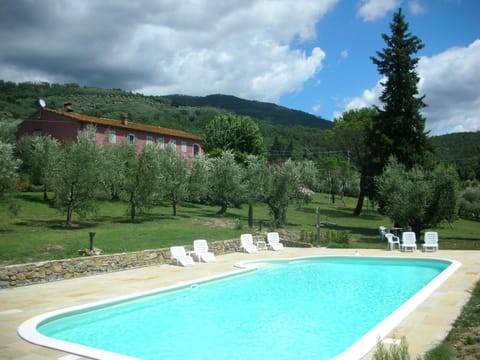 Natural landscape, Garden, Pool view, Swimming pool, Swimming pool