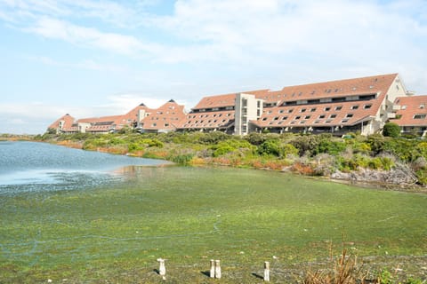 Dolphin Beach E30 Apartment in Cape Town