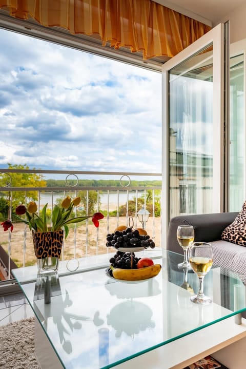 Day, Natural landscape, Living room, River view, air conditioner