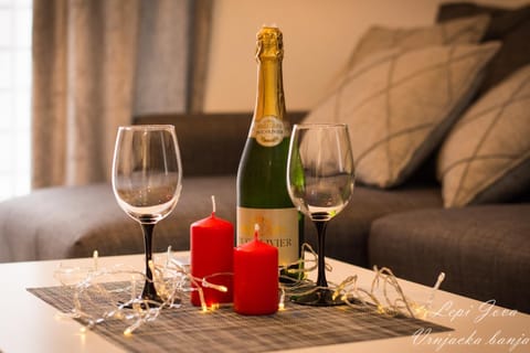 Lepi Jova SNEZNIK Apartment in Serbia