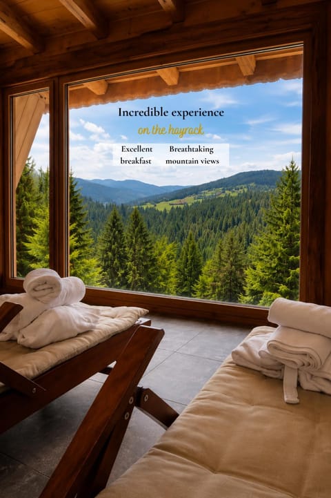 Day, Natural landscape, Photo of the whole room, Bedroom, Text overlay, Mountain view, towels