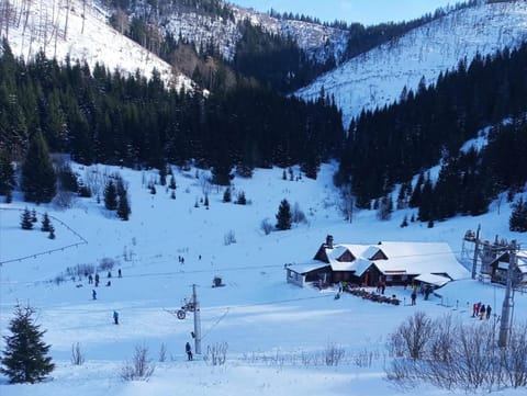 Property building, Winter